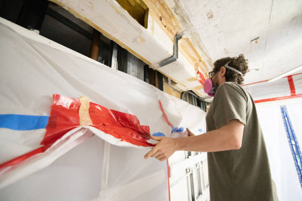 Environmental Consulting for Mold Prevention in Malden, MO